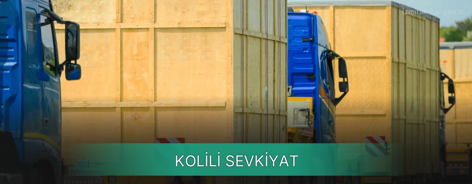 İzmir Kolili Sevkiyat Ambar Firmaları İzmir Kolili Sevkiyat Ambar Firmaları